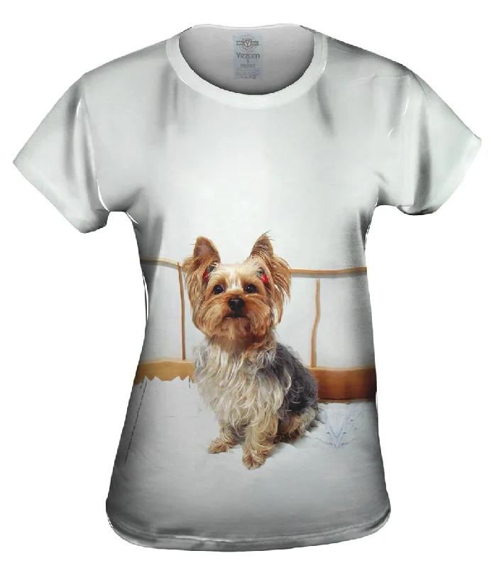 Fancy Yorkshire Terrier